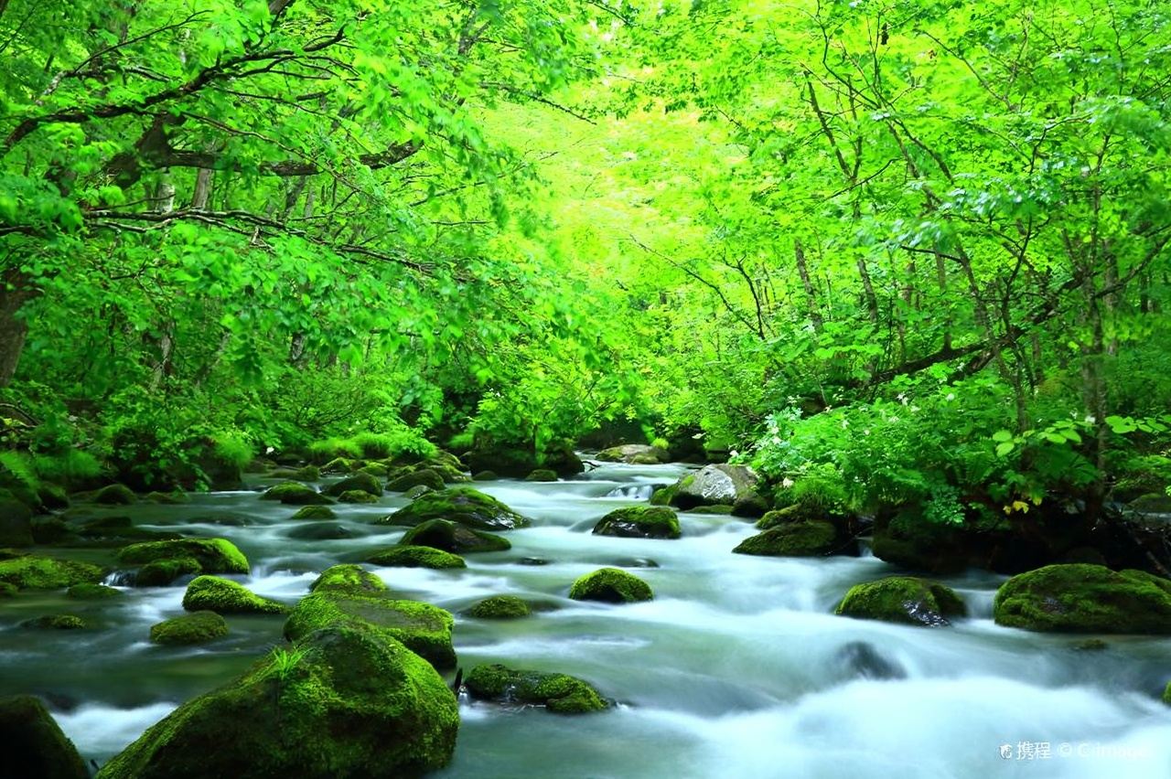 日本青森＋奧入瀨溪流＋八甲田山＋十和田湖一日遊