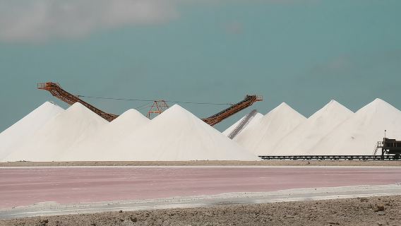 Excursión guiada en grupo reducido por el norte y el sur de Bonaire con recogida incluida.