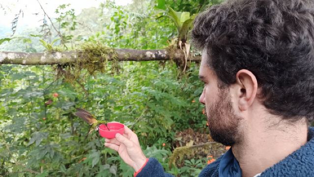 ทัวร์ส่วนตัวเต็มวัน ป่าดิบเมฆมินโด ฟาร์มผีเสื้อ ทัวร์ช็อกโกแลต และดูนก