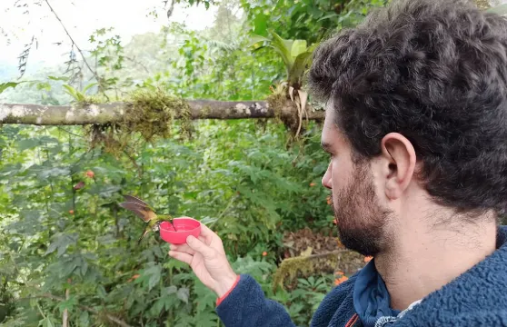 私人全日明多雲霧森林、蝴蝶農場、朱古力之旅及觀鳥活動