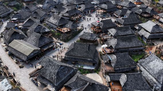 【2-8人純玩拼小團】普洱景邁山古茶園+糯干、翁基布朗族老寨一日遊