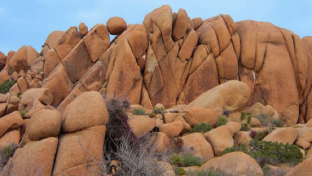 Schilderachtige reis door Joshua Tree National Park