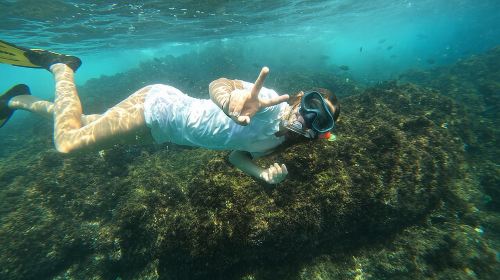 Private Snorkeling with turtles with BBQ food 6