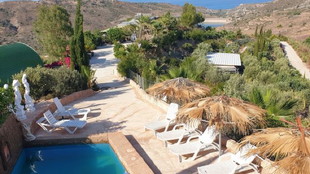 Recorrido de 2 horas por el jardín botánico de Akoursos