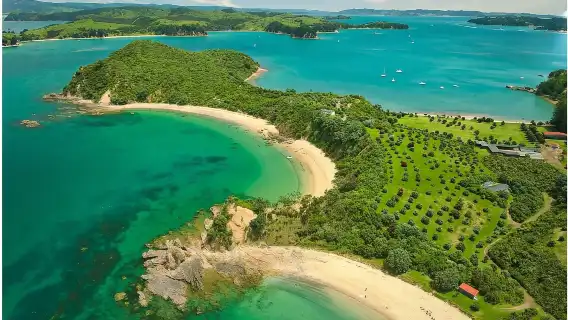 ทัวร์ 1 วัน เกาะโรโตรัว นิวซีแลนด์|รวมทริปเรือสำราญ 75 นาที [ออกเดินทางจากโอ๊คแลนด์]