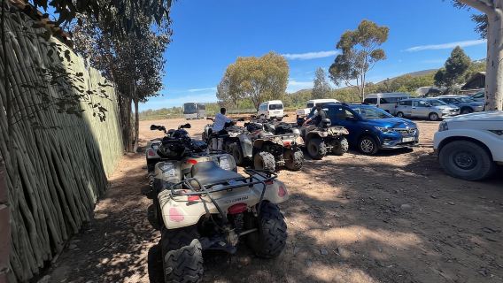 Safari condiviso al tramonto con avvistamento dei Big 5 nella Riserva Naturale dell'Aquila con vino