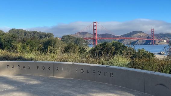 San Francisco: Billionaire's Row & Palace of Fine Arts Tour