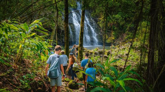 Big Island: Full Day Adventure Tour of the Kohala Waterfalls