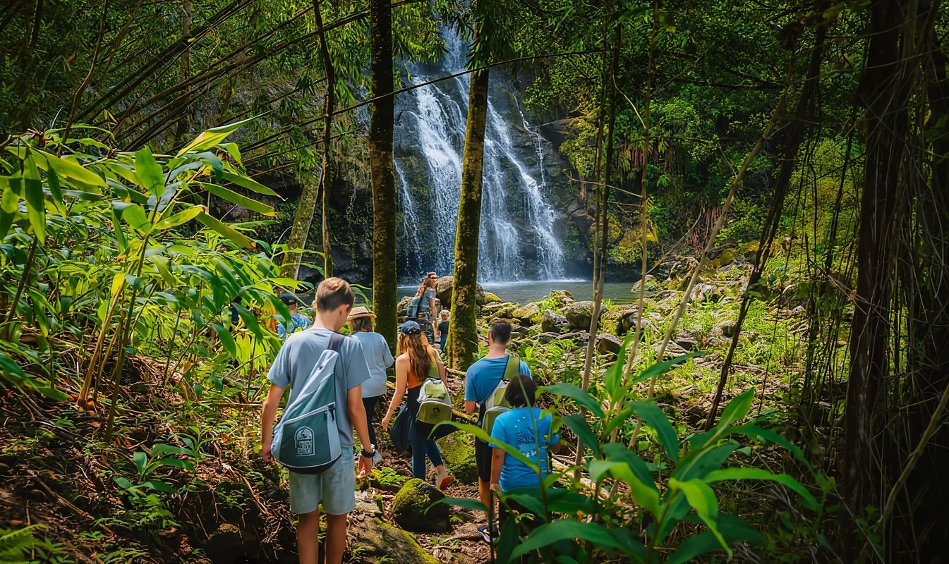 Big Island: Full Day Adventure Tour of the Kohala Waterfalls
