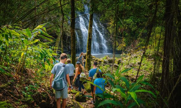 Big Island: Full Day Adventure Tour of the Kohala Waterfalls