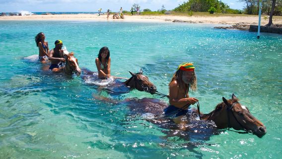 From Falmouth: Horseback Ride n Swim with Green Grotto Caves