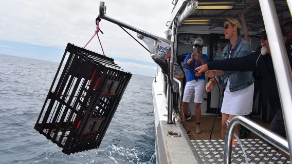Desde Perth o Fremantle: crucero de mariscos por la isla Rottnest