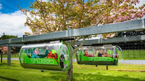 Rotorua: Velocity Valley - Pass One Ride