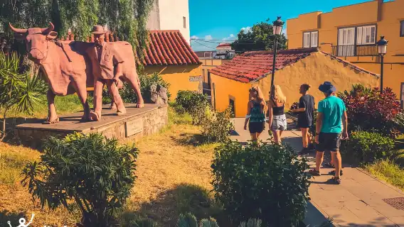 Gran Canaria: Guided Day Tour to Rainforest with Tasting