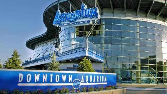 เดนเวอร์: บัตรผ่านพิพิธภัณฑ์สัตว์น้ำดาวน์ทาวน์ตลอดวัน