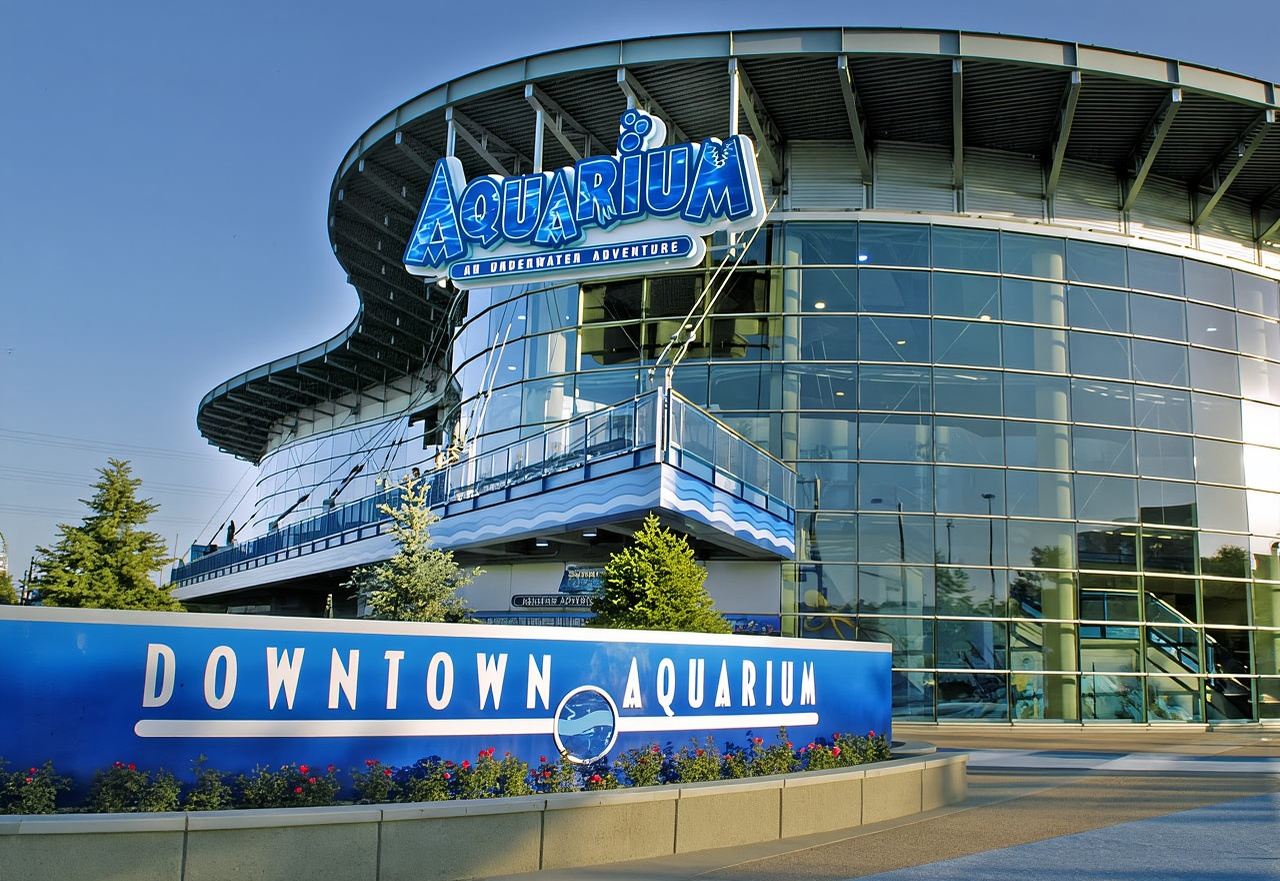 Denver: Downtown Aquarium All-Day Pass