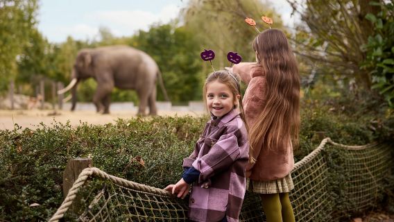 Eintrittskarte für den Zoo Eindhoven