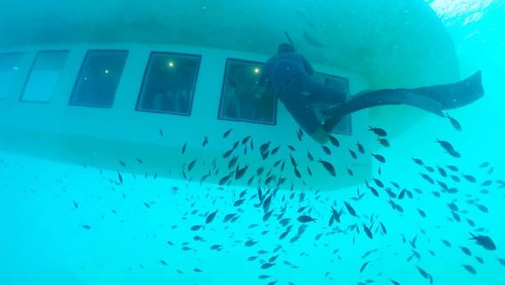 Rodi: biglietto combinato - autobus sali e scendi e crociera sottomarina