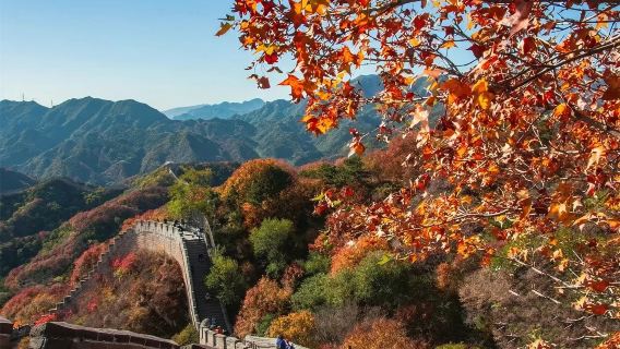 Gubei Water Town + Simatai-Große Mauer Charterfahrt & Privattour für Familien mit Auswahl zwischen Chinesisch, Englisch, Deutsch und Spanisch