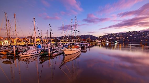 塔斯馬尼亞朗賽市區一日遊【瑞士村+塔馬島濕地+卡德奈特峽谷】
