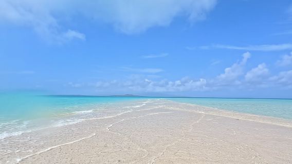 Đảo Ishigaki: Tour lặn biển bằng thuyền tại Đảo Phantom