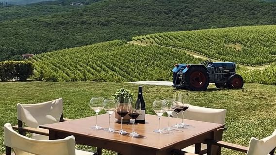 Vergina, Naousa and Edessa - Full-Day Private Tour