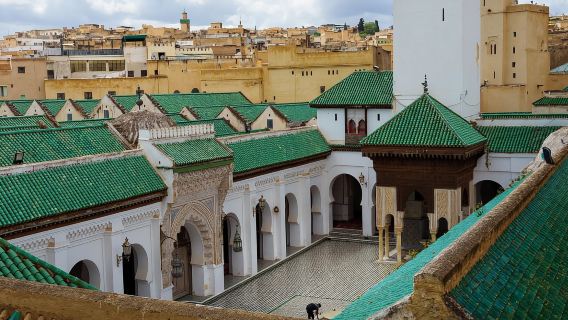 Experiencia cultural en Fez, Marruecos: Palacio Real y antigua universidad (conductor de habla inglesa, personalizable)