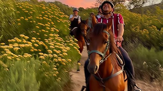 Vrede en Lust Wine Estate:1-Hour Horseback Riding Experience
