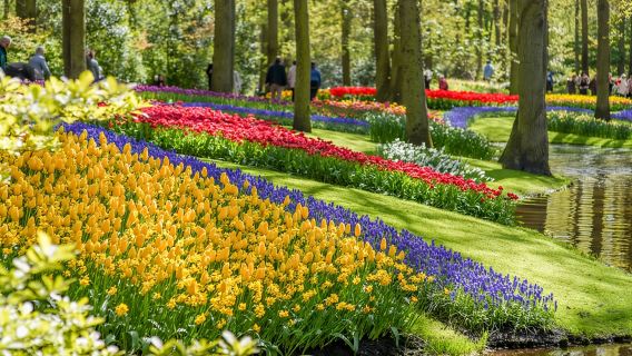 Netherlands Tulip Flower Show admission ticket + MG Roermond Shopping Discount Package