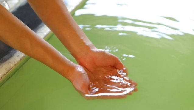 志賀高原ホテル一望閣