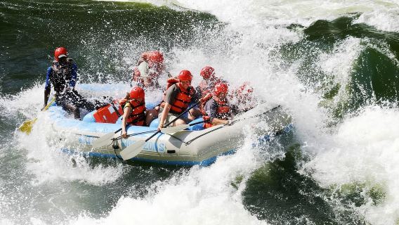 Victoria Falls: Zambezi River White Water Rafting