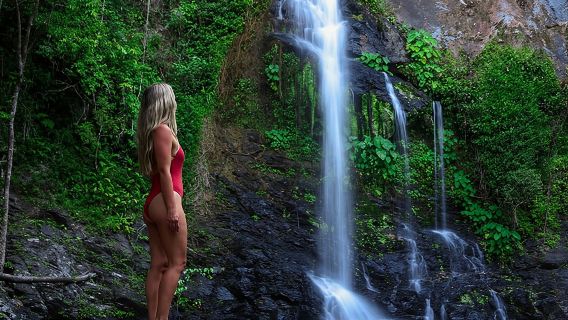 Daintree Waters Tour