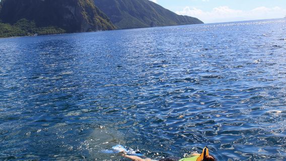 St Lucia Snorkeling Tour with Lunch