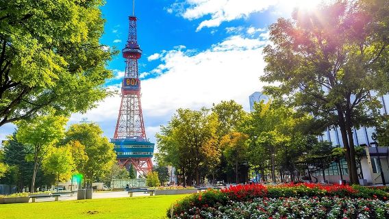 Sapporo 4hr Private Tour with Government Licensed Guide