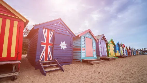 Melbourne Brighton Beach Boxes/Zoo + Penguin Island one-day tour with Chinese/English Option available