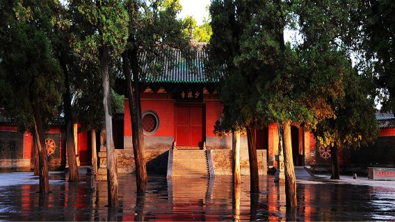 Zhengzhou Private Guided Day Tour Shaolin Temple Tallinn Longmen Grottoes