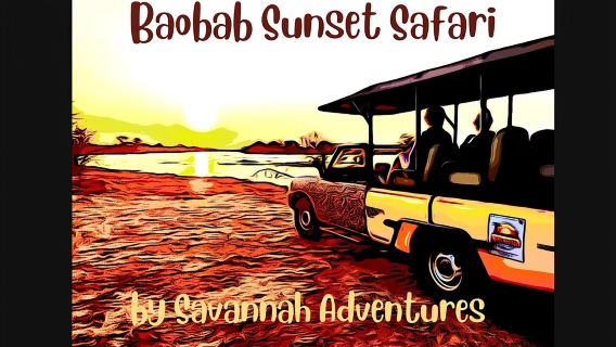 Safaris Baobab-Amanecer-Atardecer-Buitres-Amanecer a la luz de la luna, 4 opciones