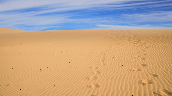 Day Trip to Sahara Sand Dunes and Paradise Valley from Agadir