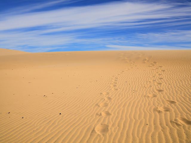 Day Trip to Sahara Sand Dunes and Paradise Valley from Agadir