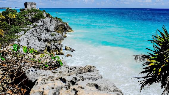 Tulum Discovery Tour from Cancun and Riviera Maya