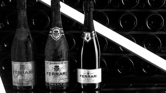 Guided Trentodoc Winery Tour with Traditional Trentino Lunch in Ravina