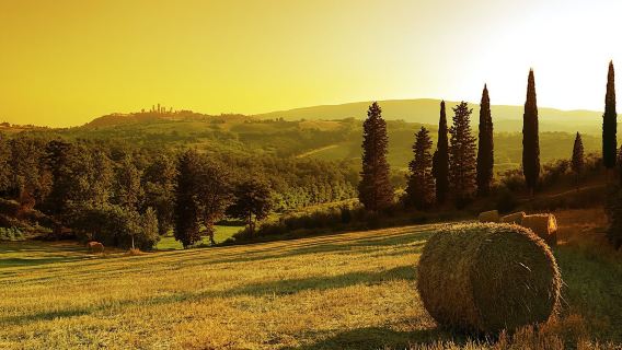 San GimignanoExperiences