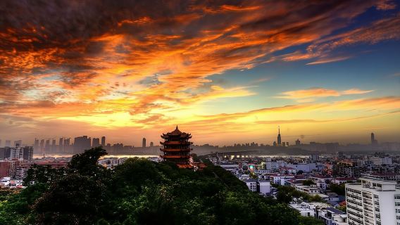 黃鶴樓+省博+東湖生態旅遊風景區+辛亥革命紀念館+曇華林【私家團】