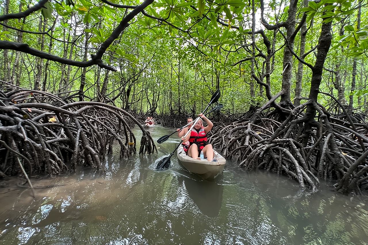 Mezza giornata in kayak tra le mangrovie a Langkawi