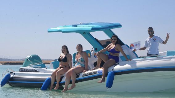 Speed Boat 4 Hours Dolphin House ,Snorkeling, White Island