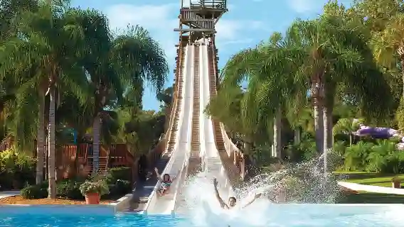 Adventure Island Water Park Ticket