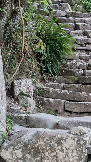 【純玩私家團不拼陌生人】普洱那柯里茶馬古道一日遊