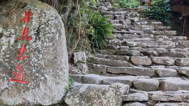 【純玩私家團不拼陌生人】普洱那柯里茶馬古道一日遊