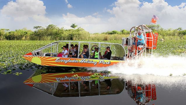 Tour en airboat y paseos en el Parque Holiday de los Everglades
