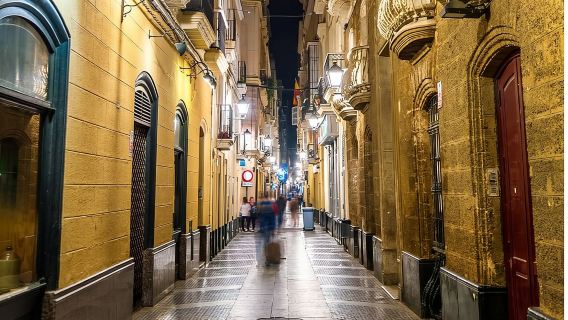 Cadiz : Private Custom Walking Tour With A Local Guide